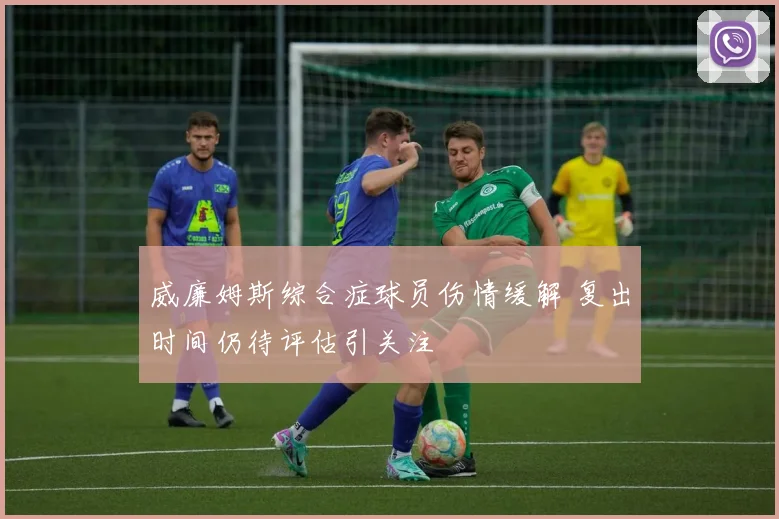 威廉姆斯综合症球员伤情缓解 复出时间仍待评估引关注