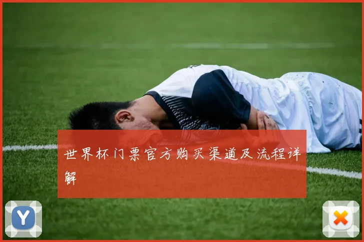 世界杯门票官方购买渠道及流程详解